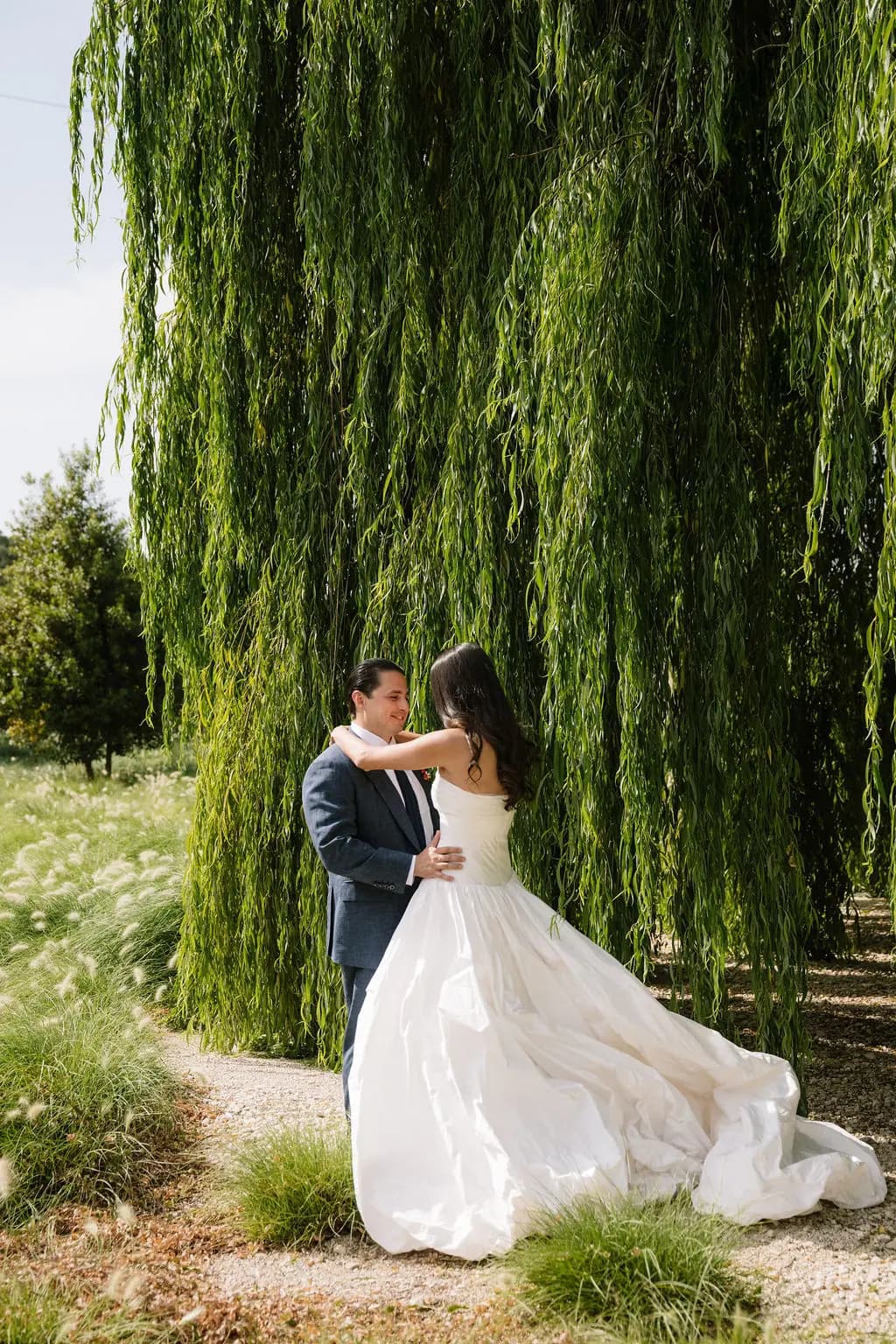 Bride and groom embracing beneath a willow tree.